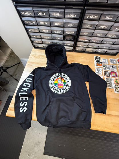 Sounds Gay Count Me In Hoodie