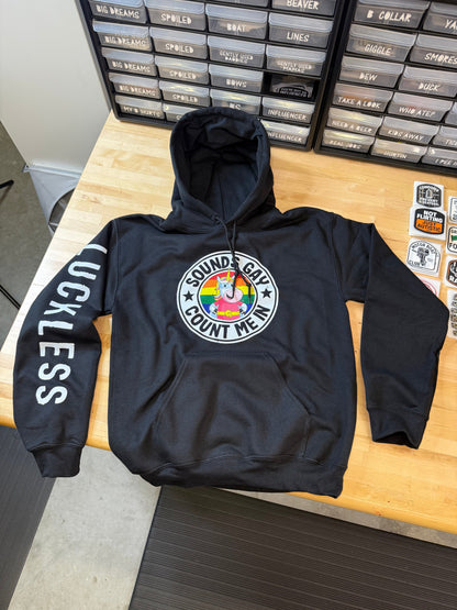 Sounds Gay Count Me In Hoodie