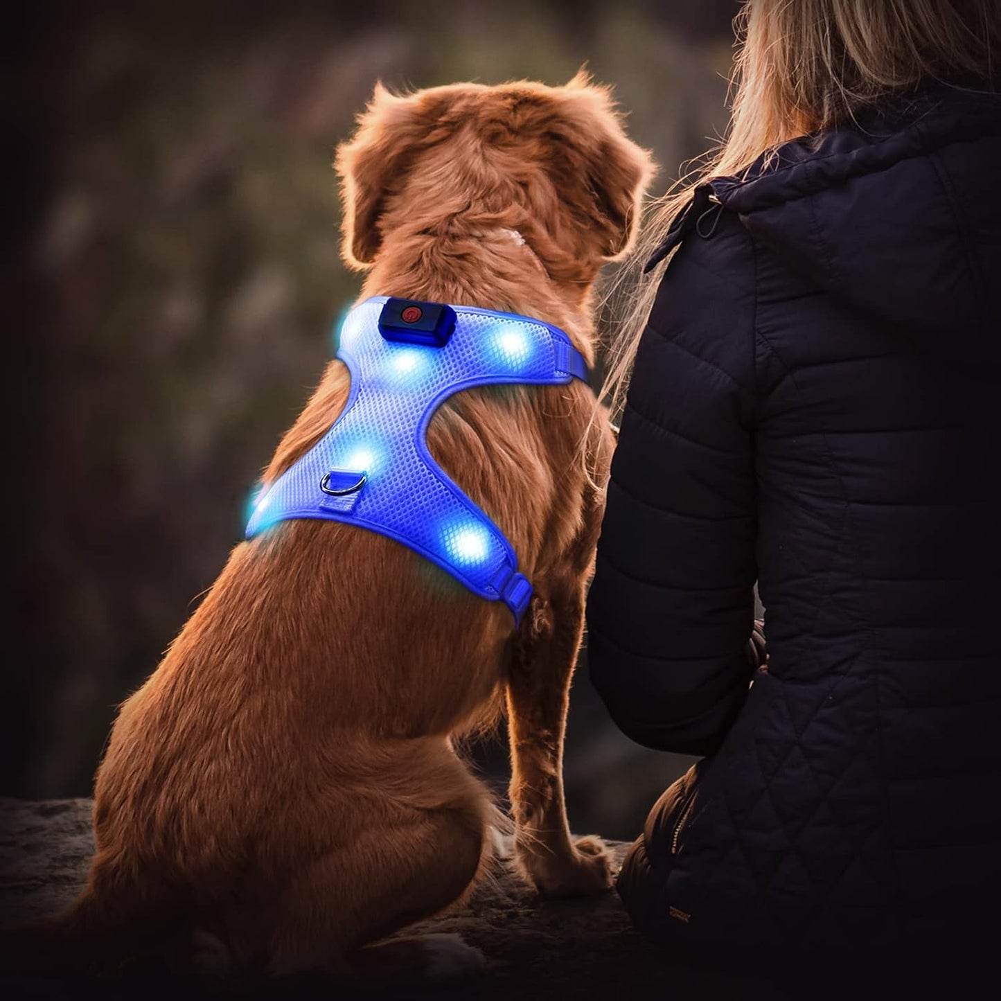 LED Dog Harness, Lighted up USB Rechargeable Pet Harness, Illuminated Reflective Glowing Dog Vest Adjustable Soft Padded No-Pull Suit for Small, Medium, Large Dogs (Blue, L)